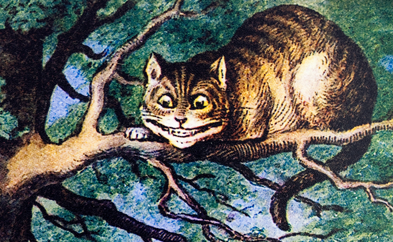 Cheshire-Cat