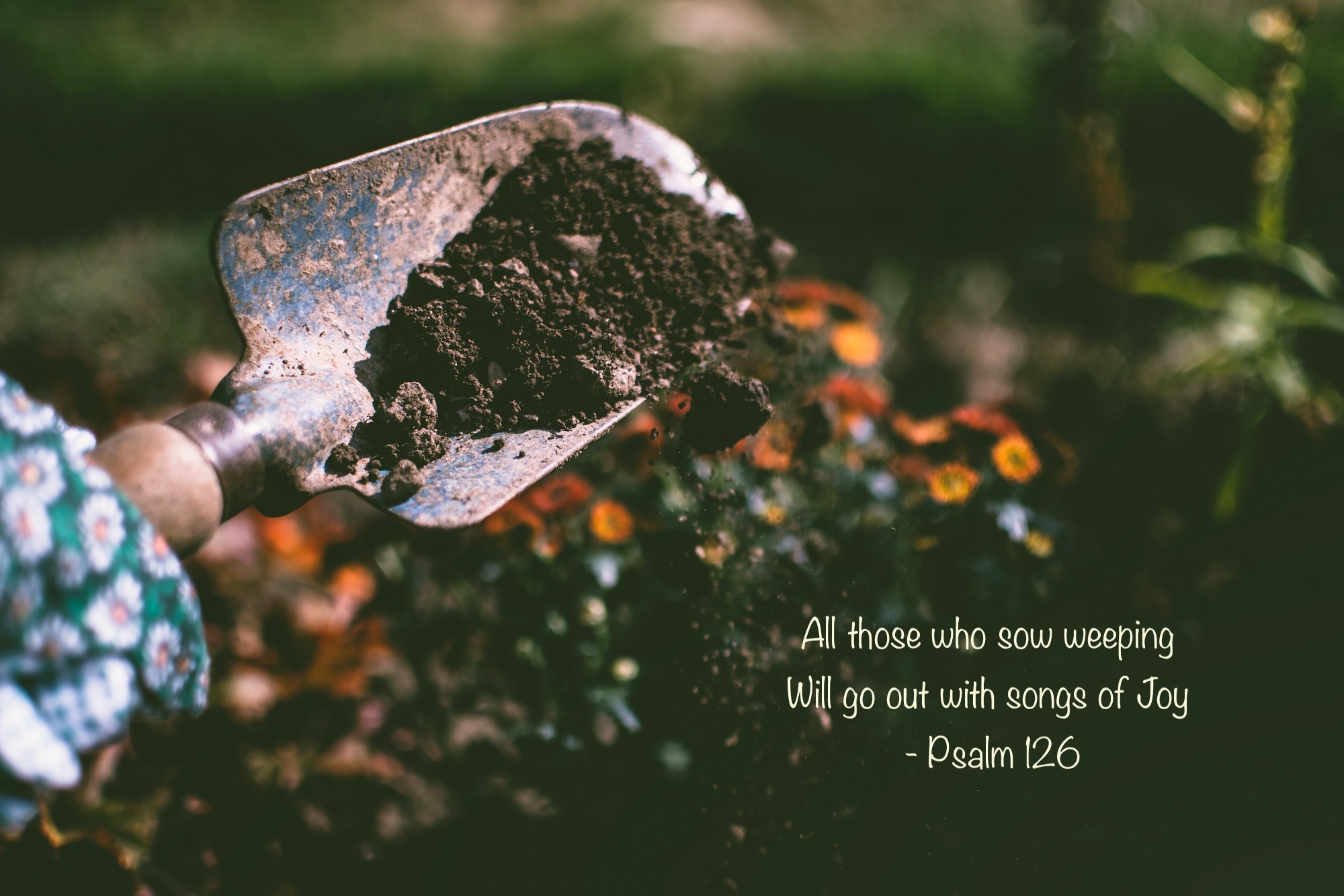 All those who sow weeping, will go out with Psalms of joy - Psalm 126