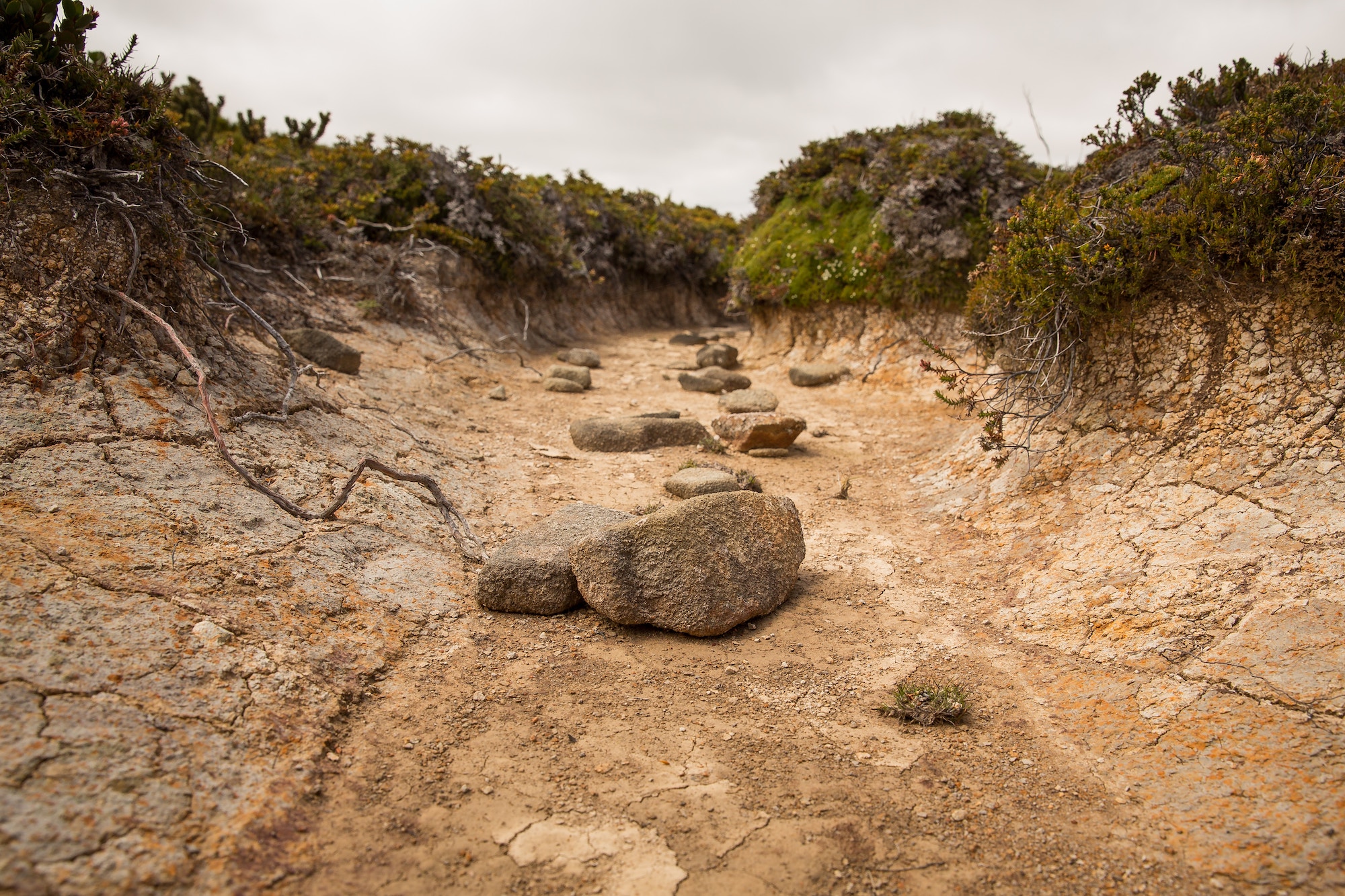 dry river bed, grief Featured Photo by Matt Palmer on Unsplash